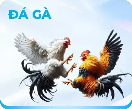 da-ga-kuwin